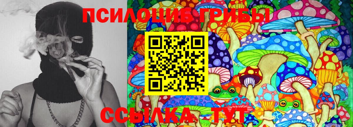 Галлюциногенные грибы мицелий  Вход с VPN  Сегежа 