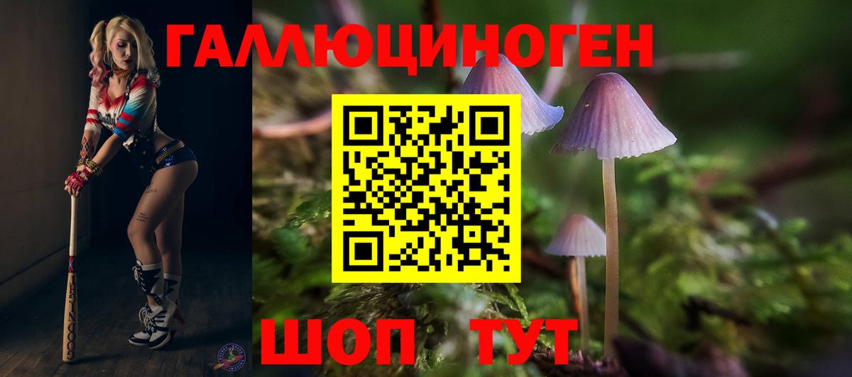 Конопля  Сегежа  Вход с VPN  ГАШ  Меф   ГАШИШ 